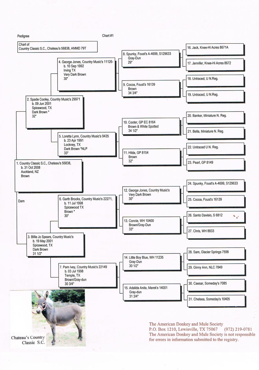 Classic's_Pedigree