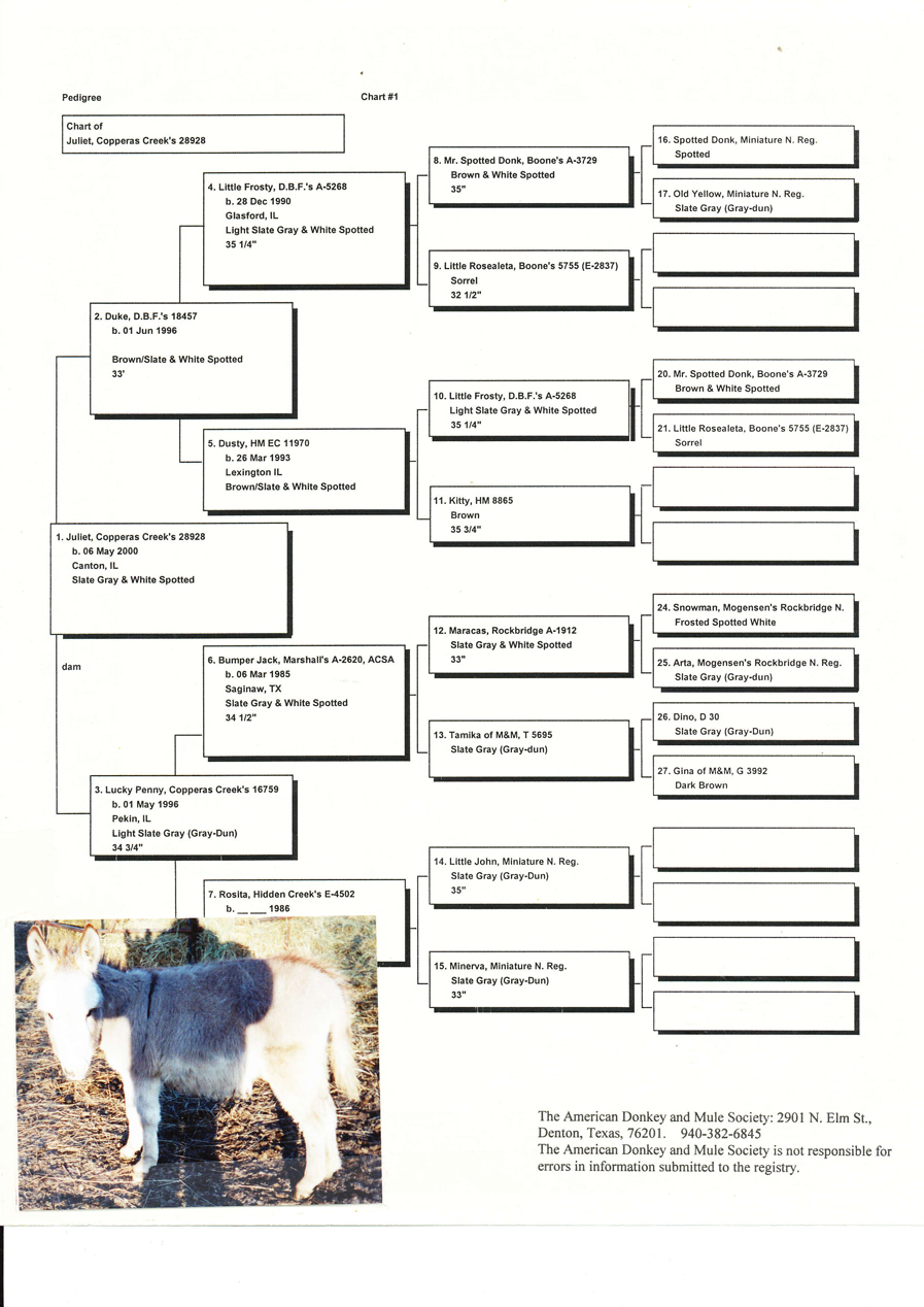 Copperas_Creek_Juliet_pedigree