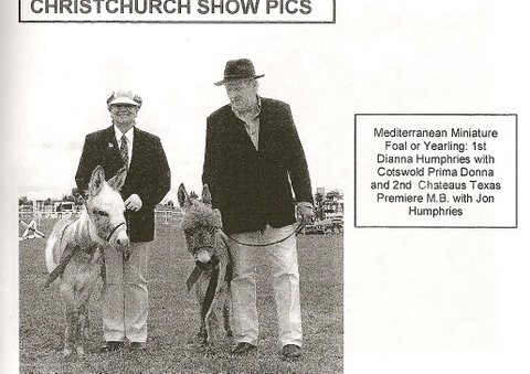 Cotswold_Prima_Donna_miniature_donkey_winning_first_in_show.