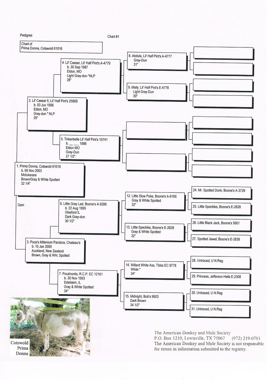 Cotswold_Prima_Donna_pedigree