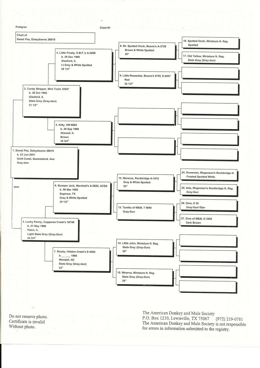 Daisydowns_Sweetpea_pedigree