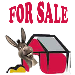 Donkey_sale_barn_for_sale_poplargrove_stud