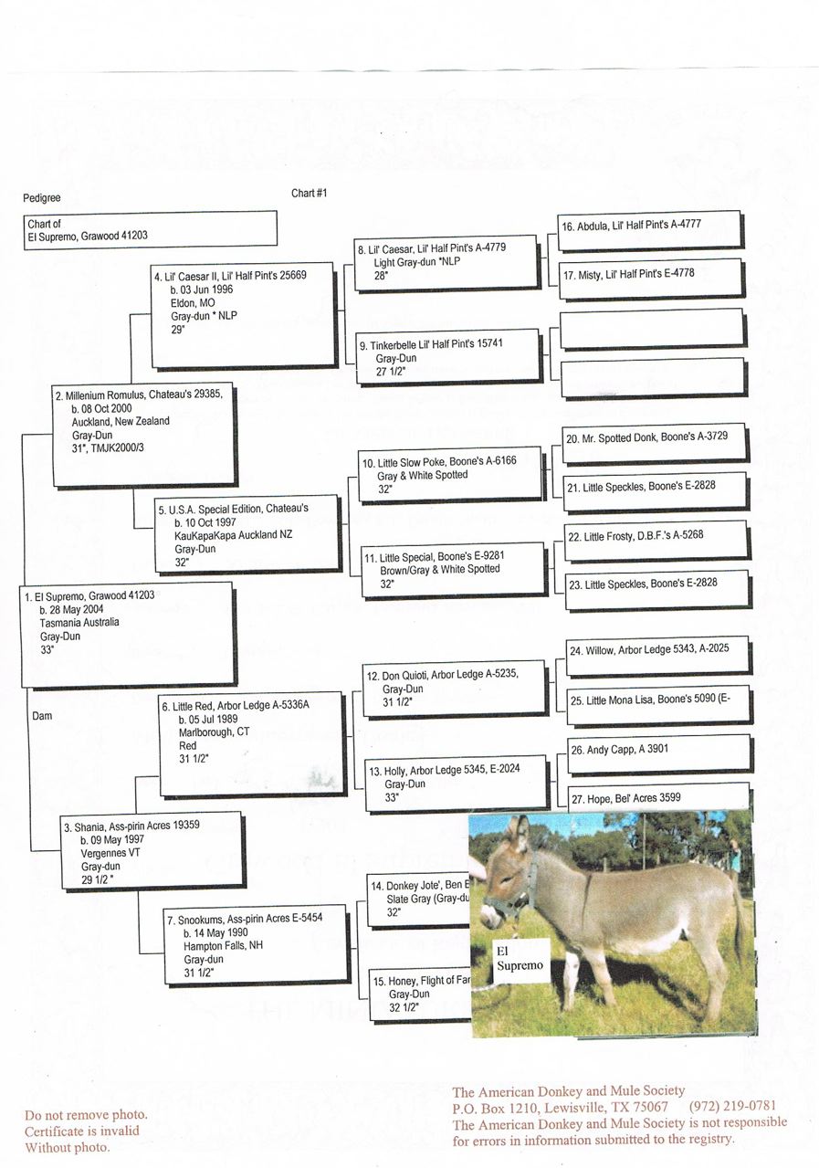 Grawood_El_supremo_pedigree.