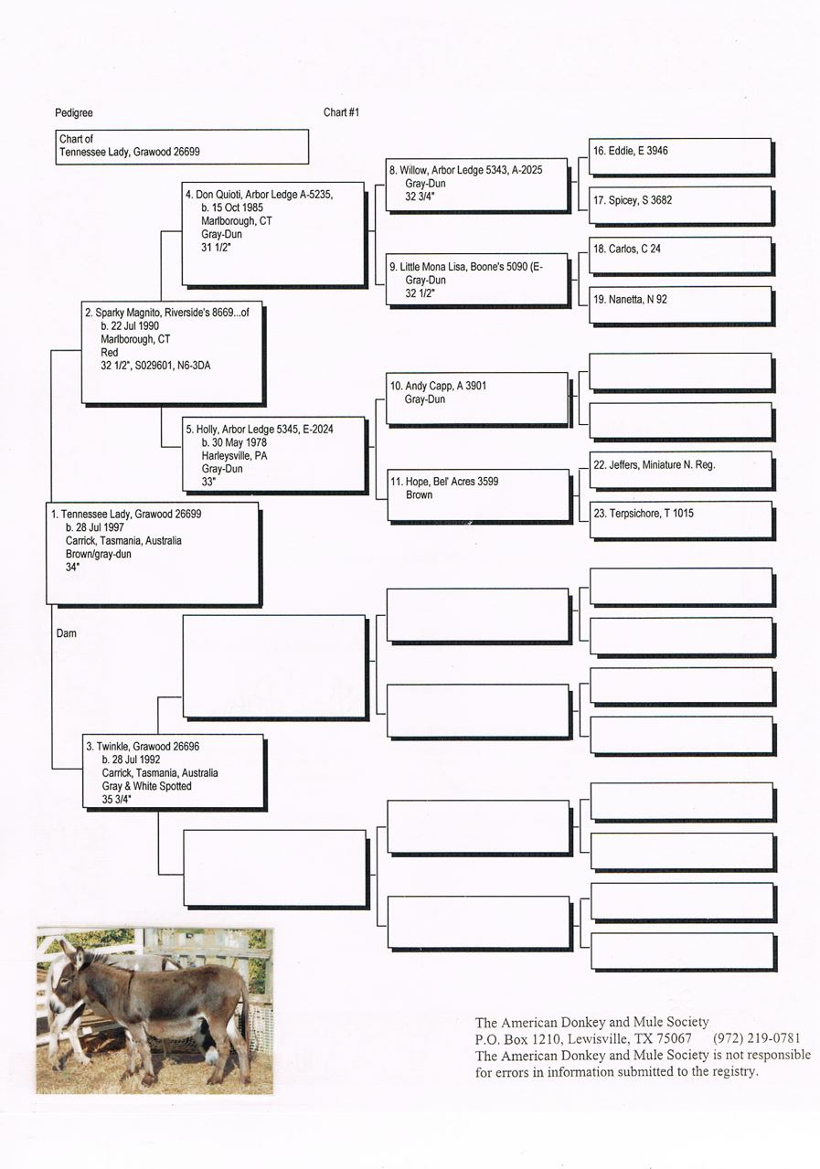 Grawood_Lady_pedigree