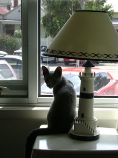 sailor&lamp