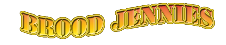 brood miniature donkey jennies banner
