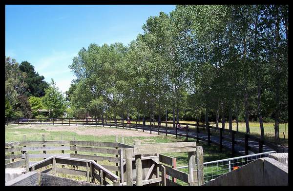 drivway from gate towards house